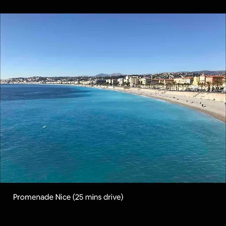 Large In Near La Croisette And * Cannes