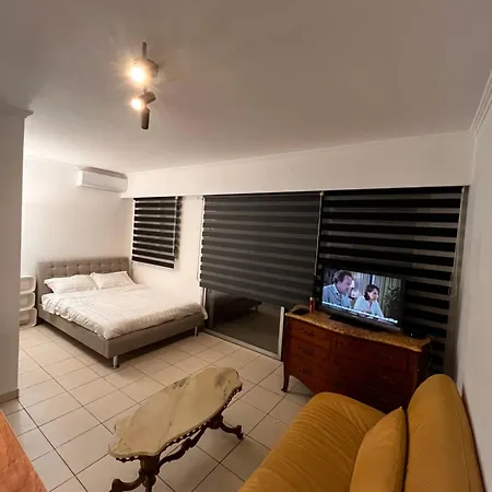 公寓 Large In Near La Croisette And