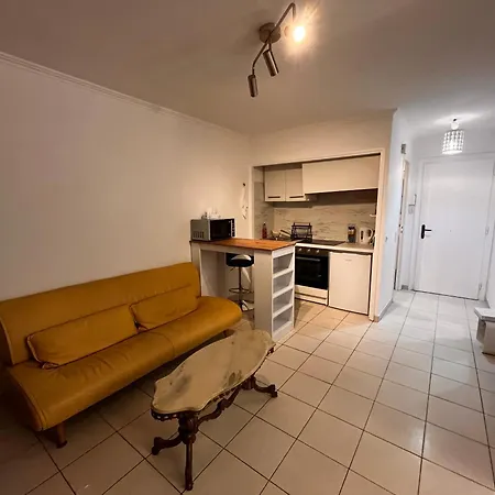 Large In Near La Croisette And